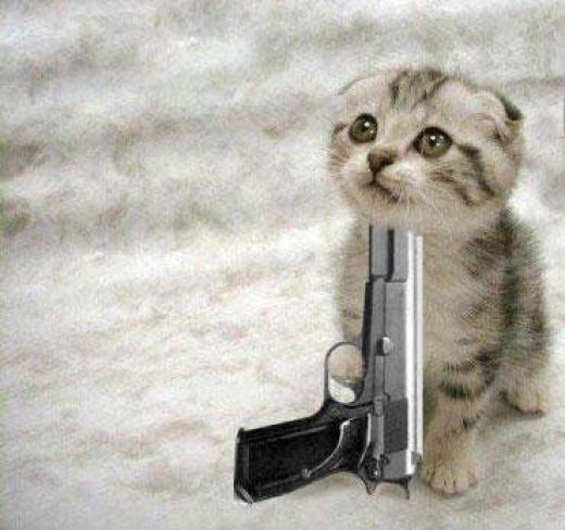 Featured image of post Zakaj želimo vsi od tu!!!