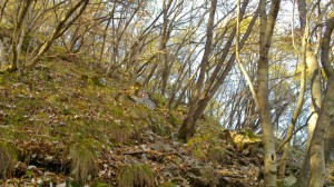 Featured image of post Šmarna gora
