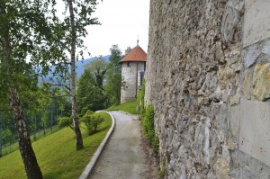 Featured image of post Pavus - Grad Tabor Laško