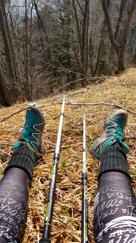 Gozdnik - 1090 m
