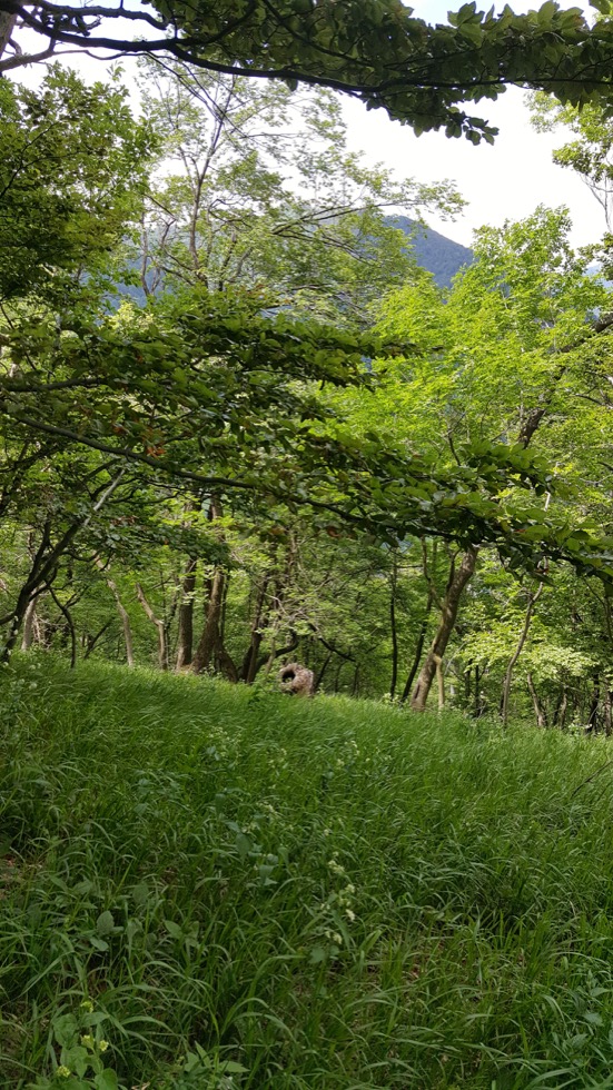 Kamnik - 861 m